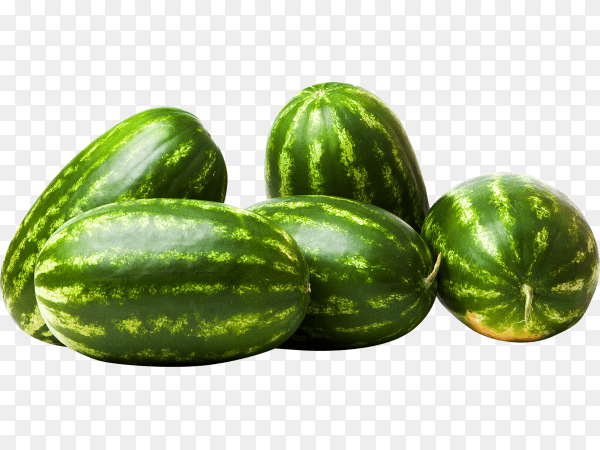 Fresh ripe whole watermelon on transparent background PNG