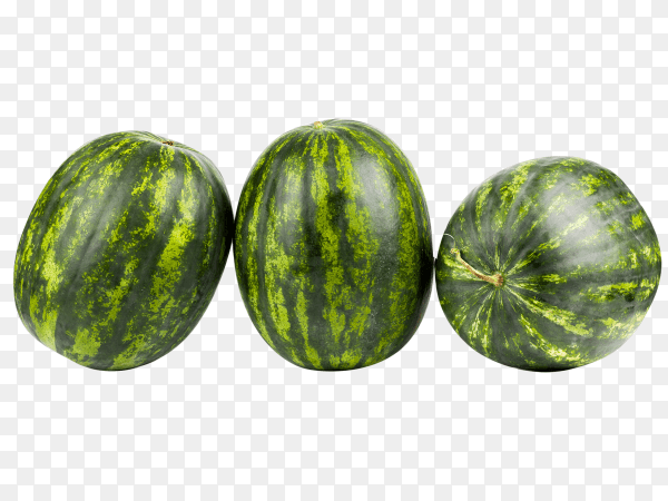 Fresh watermelon on transparent background PNG