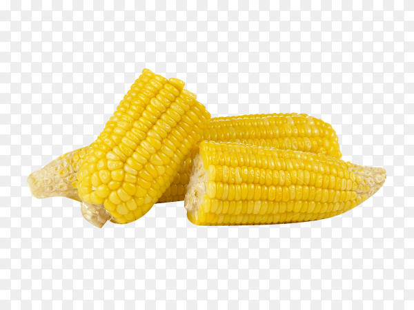 Fresh yellow corns on transparent background PNG