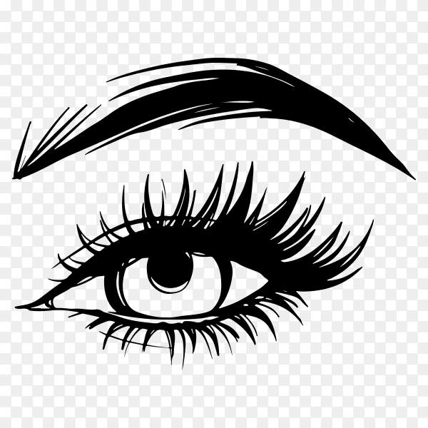 Hand drawn beautiful female eye with long black eyelashes and brows on transparent background PNG