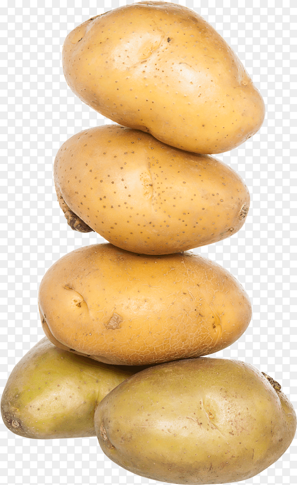 Isolated stack potatoes on transparent background PNG