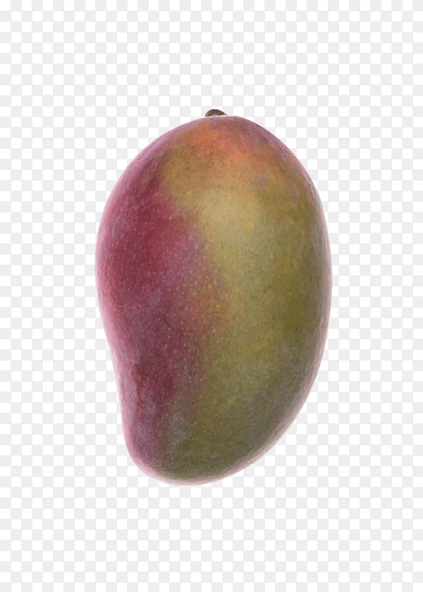 Mango fruit isolated on transparent background PNG