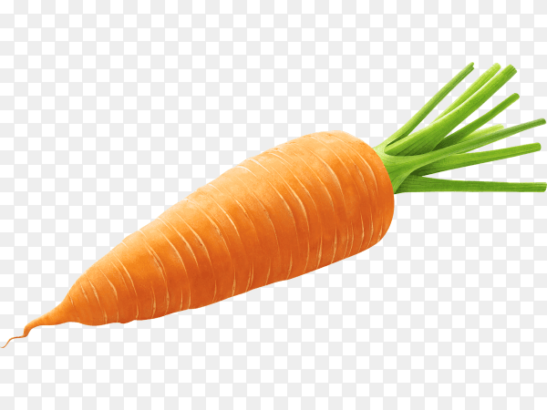 One whole carrot isolated on transparent background PNG
