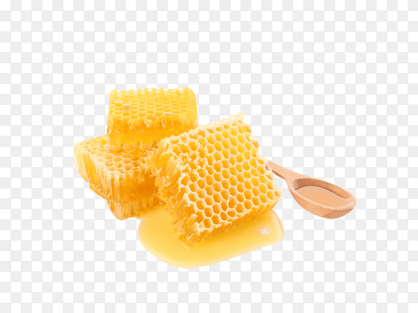 Pieces of honeycomb and wooden spoon isolated on transparent background PNG