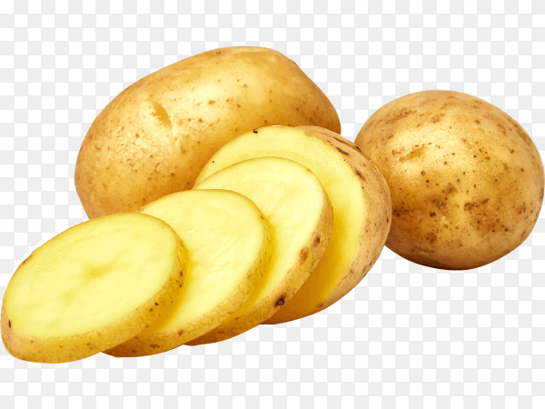 Potatoes fresh isolated on transparent background PNG