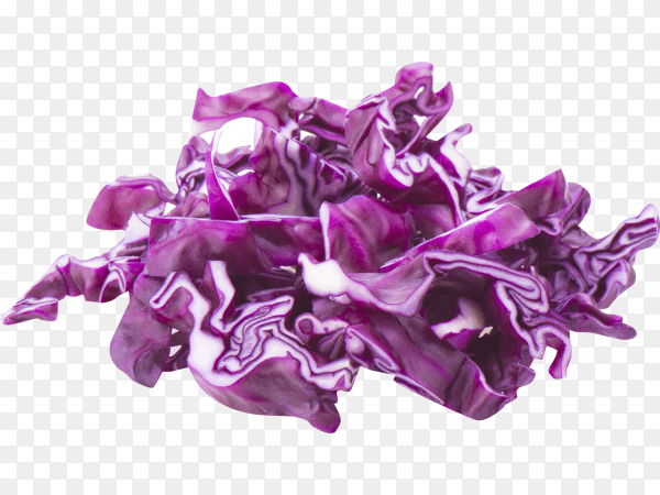 Purple cabbage isolated on transparent background PNG