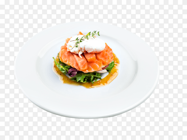 Salmon salad isolated on transparent background PNG
