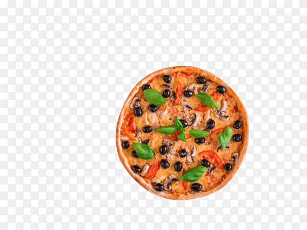 Tasty fresh hot pizza on transparent background PNG