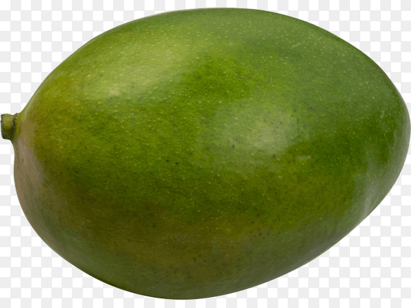 Whole green mango isolated on transparent background PNG