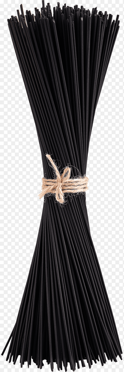 Black spaghetti with squid ink on transparent background PNG