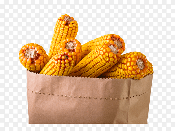Close up shot corn cobs in paper bag on transparent background PNG