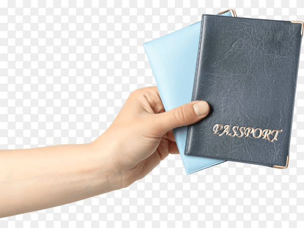 Female hand holds passport cover on transparent background PNG