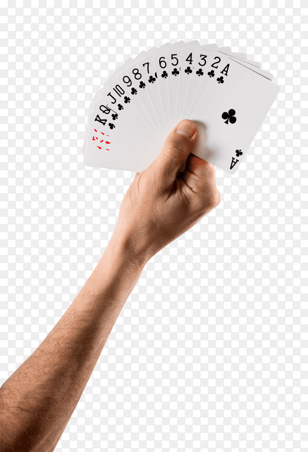 Holding a fan of cards on transparent background PNG