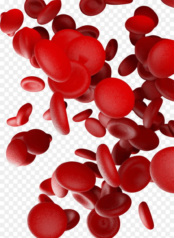 Red blood cells on transparent background PNG