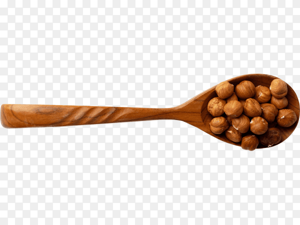 Spoon of raw hazelnuts isolated on transparent background PNG