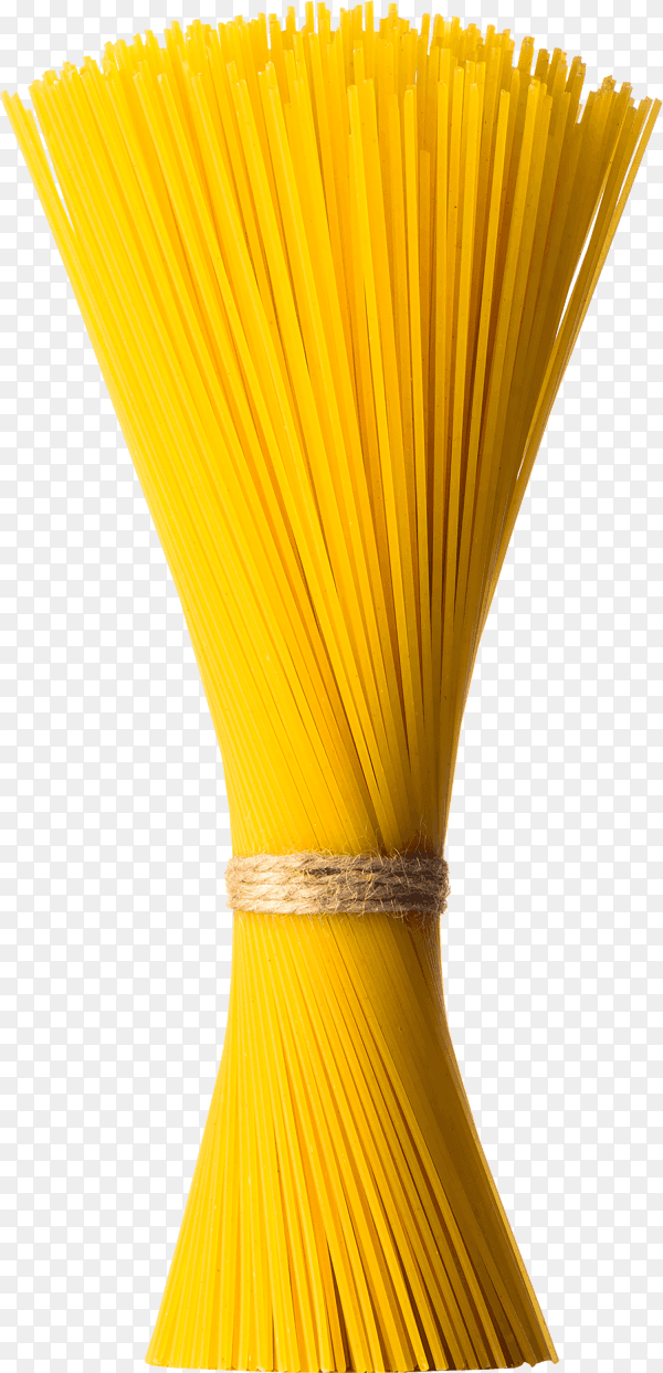 Tasty fresh colorful italian food raw spaghetti on transparent background PNG
