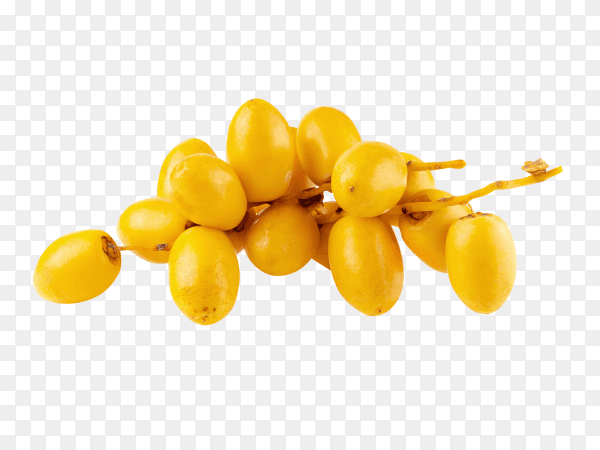 Yellow raw date palm isolated on transparent background PNG