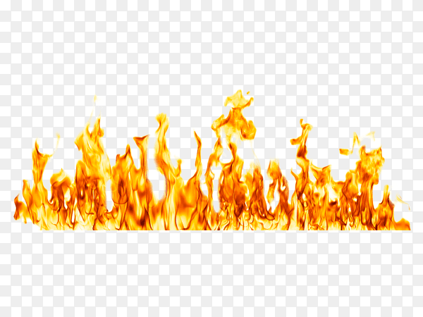 Fire flames isolated on transparent background PNG