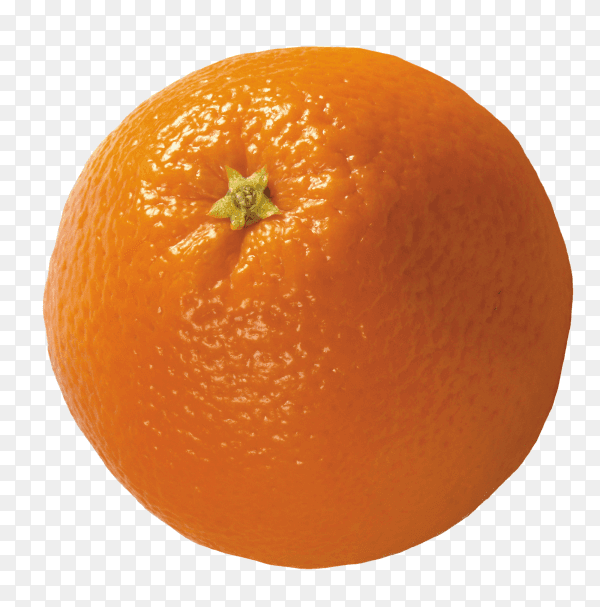 Fresh delicious orange fruit isolated on transparent background PNG