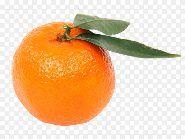 Tangerine or clementine with green leaf isolated on transparent background PNG