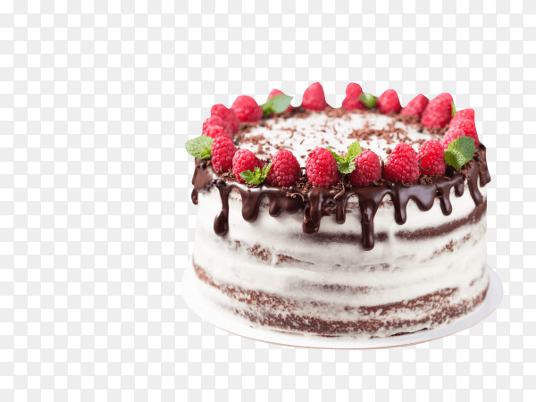 Chocolate cake with white cheese cream decorated ganache and raspberries on a white cake stand on transparent background PNG
