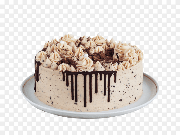 Chocolate cupcake with mousse cream icing on transparent background PNG