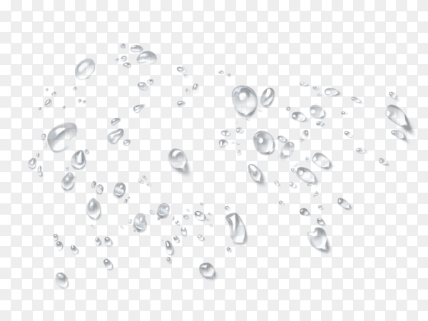 Clear round water drops isolated on transparent background PNG