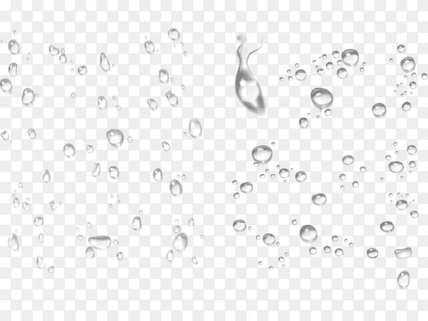 Clear round water drops on smooth surface rain drops on transparent background PNG