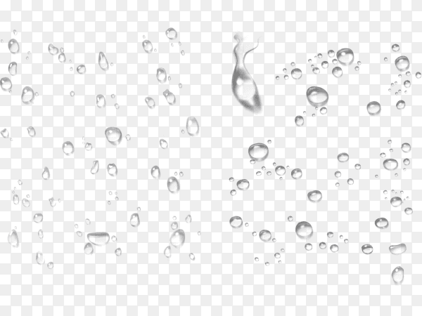 Clear round water drops on transparent background PNG