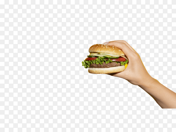 Close up hand holding tasty burger on transparent background PNG