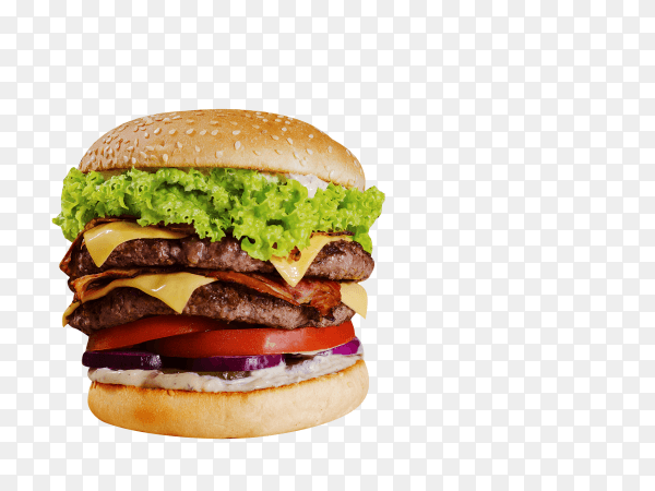 Close up of a homemade delicious beef hamburger on transparent background PNG