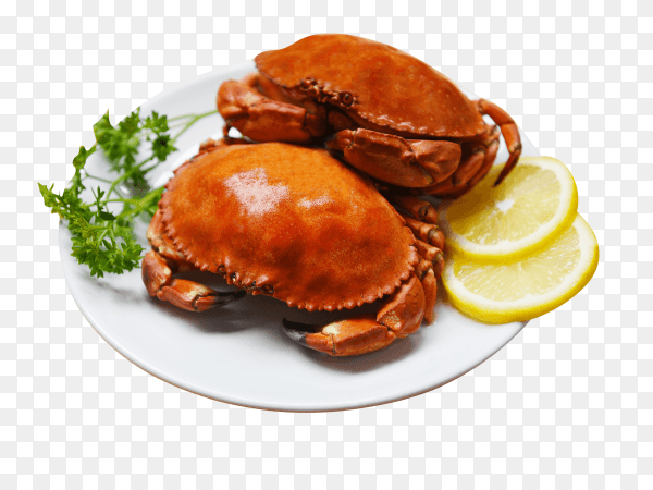 Cooked crab on plate with lemon herbs and spices seafood boiled red stone crabs salad on transparent background PNG