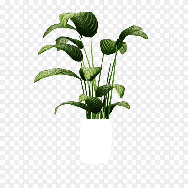 Decorative houes plant in marble vase isolated on transparent background PNG