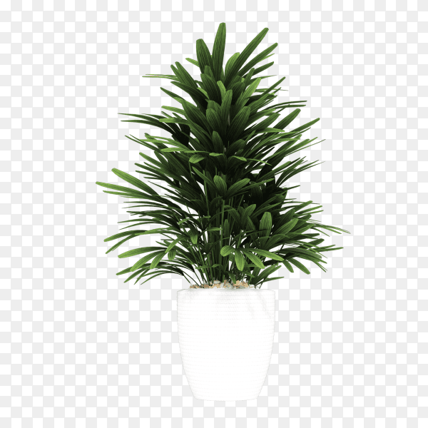 Decorative plant in marble vase isolated on transparent background PNG