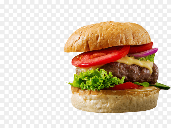 Delicious and juicy burger on transparent background PNG