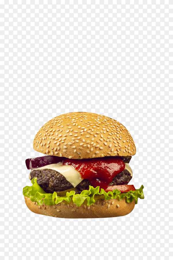 Delicious burger isolated on transparent background PNG