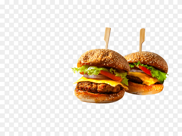 Delicious fresh homemade burger on transparent background PNG
