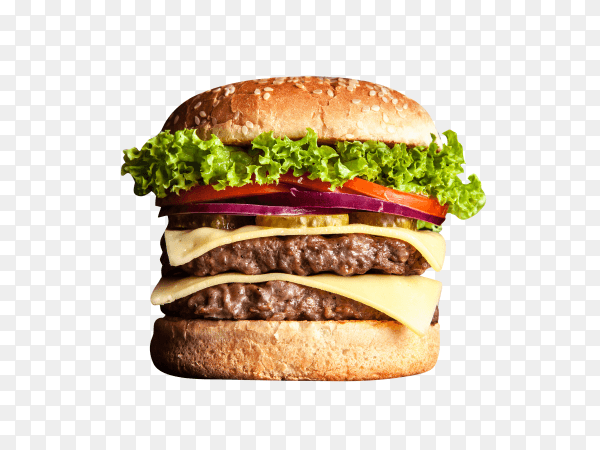 Delicious grilled burger on transparent background PNG