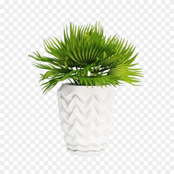 Houseplant in white flowerpot isolated on transparent background PNG