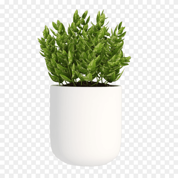 Plant pot on transparent background PNG