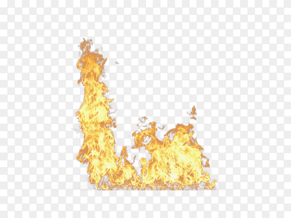 Realistic fire flame illustration on transparent background PNG