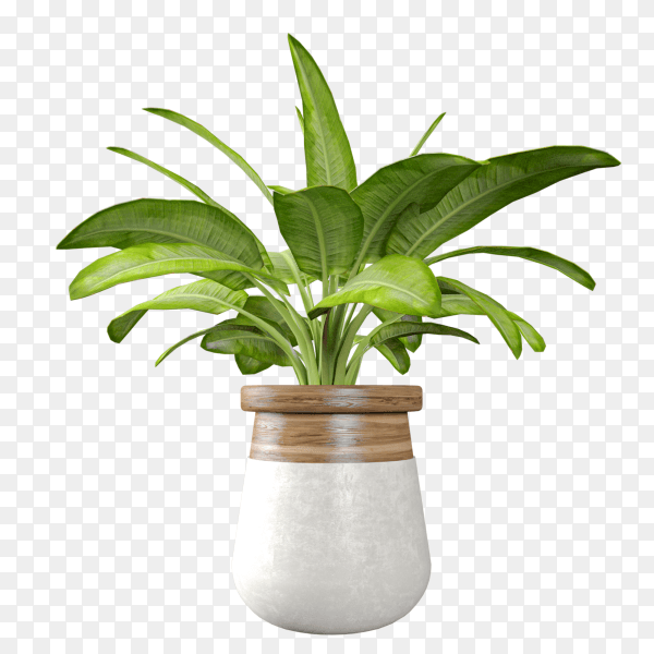 Realistic porselain vase for flowers or plants isolated on transparent background PNG