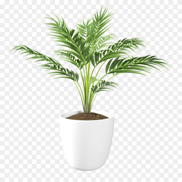 Realistic porselain vase for flowers or plants on transparent background PNG