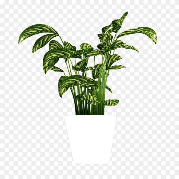 White plant pot for decoration on transparent background PNG