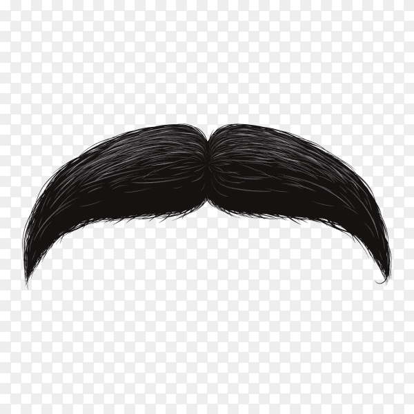 Funny retro hair mustache on transparent background PNG